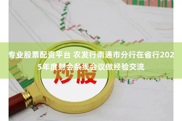 专业股票配资平台 农发行南通市分行在省行2025年度财会条线会议做经验交流