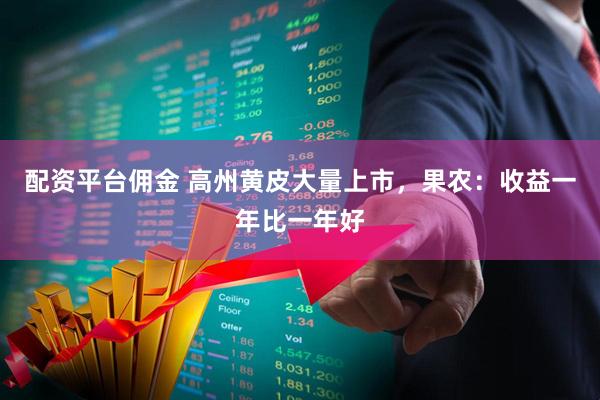 配资平台佣金 高州黄皮大量上市，果农：收益一年比一年好